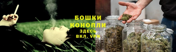 бошки Белокуриха