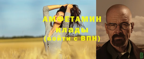 бошки Белокуриха